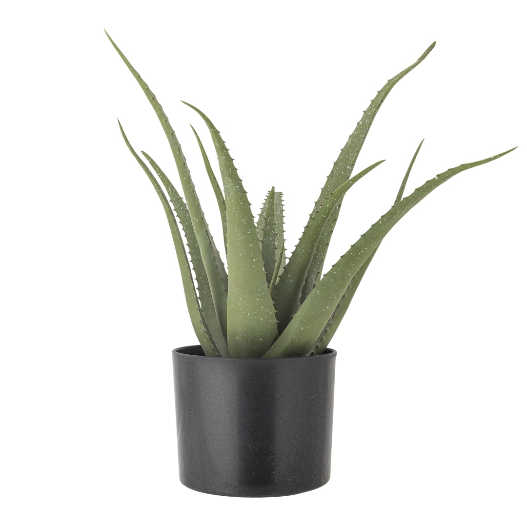 82061499 - Aloe Plant, Green, Artificial Flowers STOCK: 46