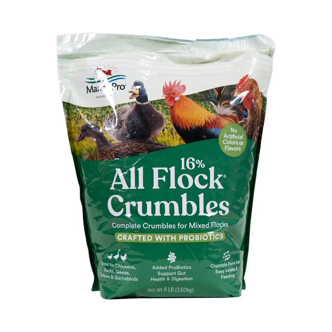 Manna Pro All Flock 16% Crumbles, 8 lbs
