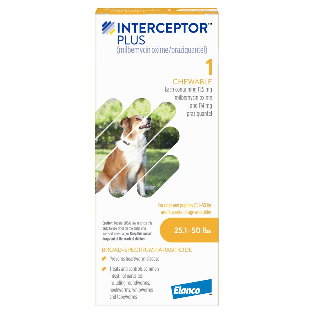 Interceptor Plus Prevention for Heartworm + 4 Other Worms for Dogs 25.1-50 lbs. | 1 Chew, 1-Month Supply