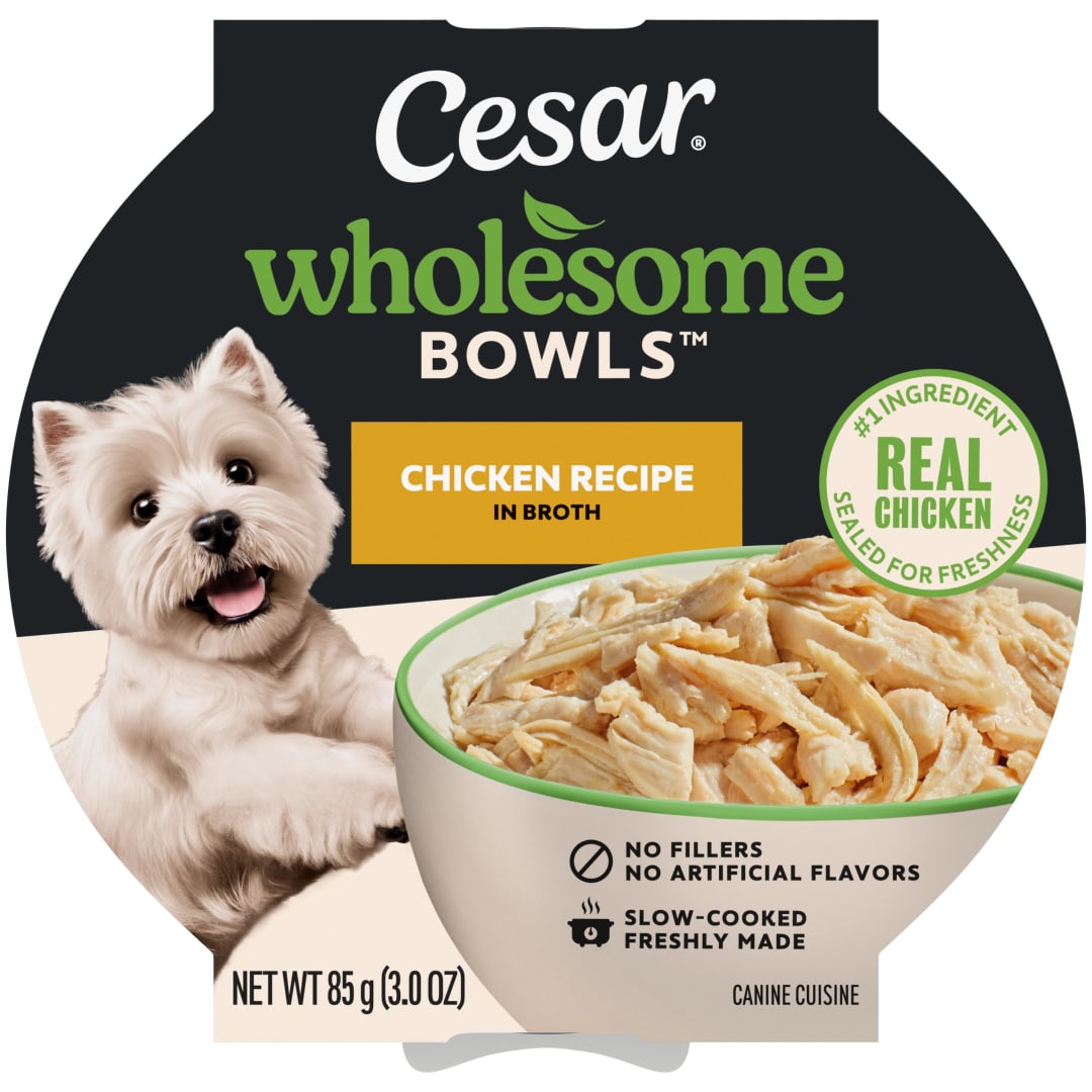 CESAR WHOLESOME BOWLS Adult Soft Wet Dog Food Toppers Chicken Recipe, (10) 3 oz. Bowls
