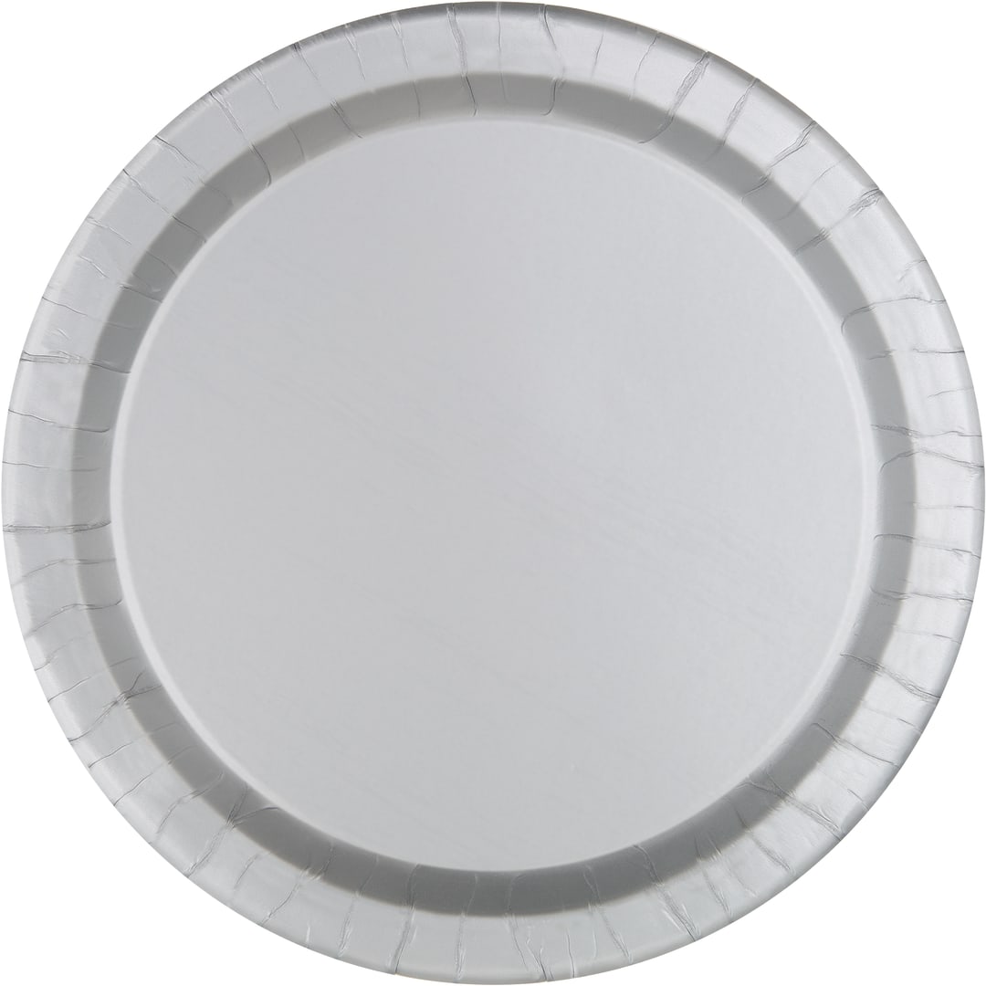 Silver Solid Round 10" Dinner Plates, 20ct