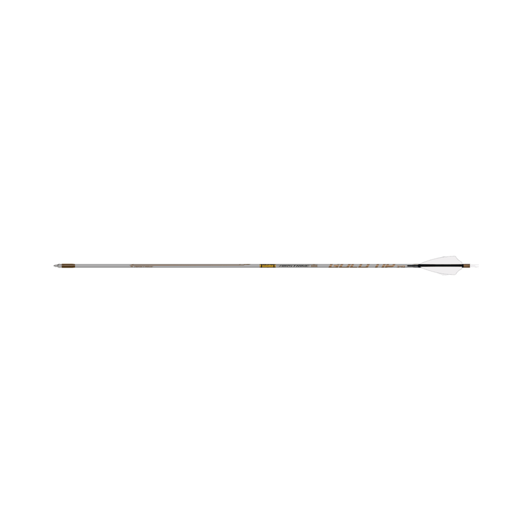 Gold Tip Airstrike Arrows .204