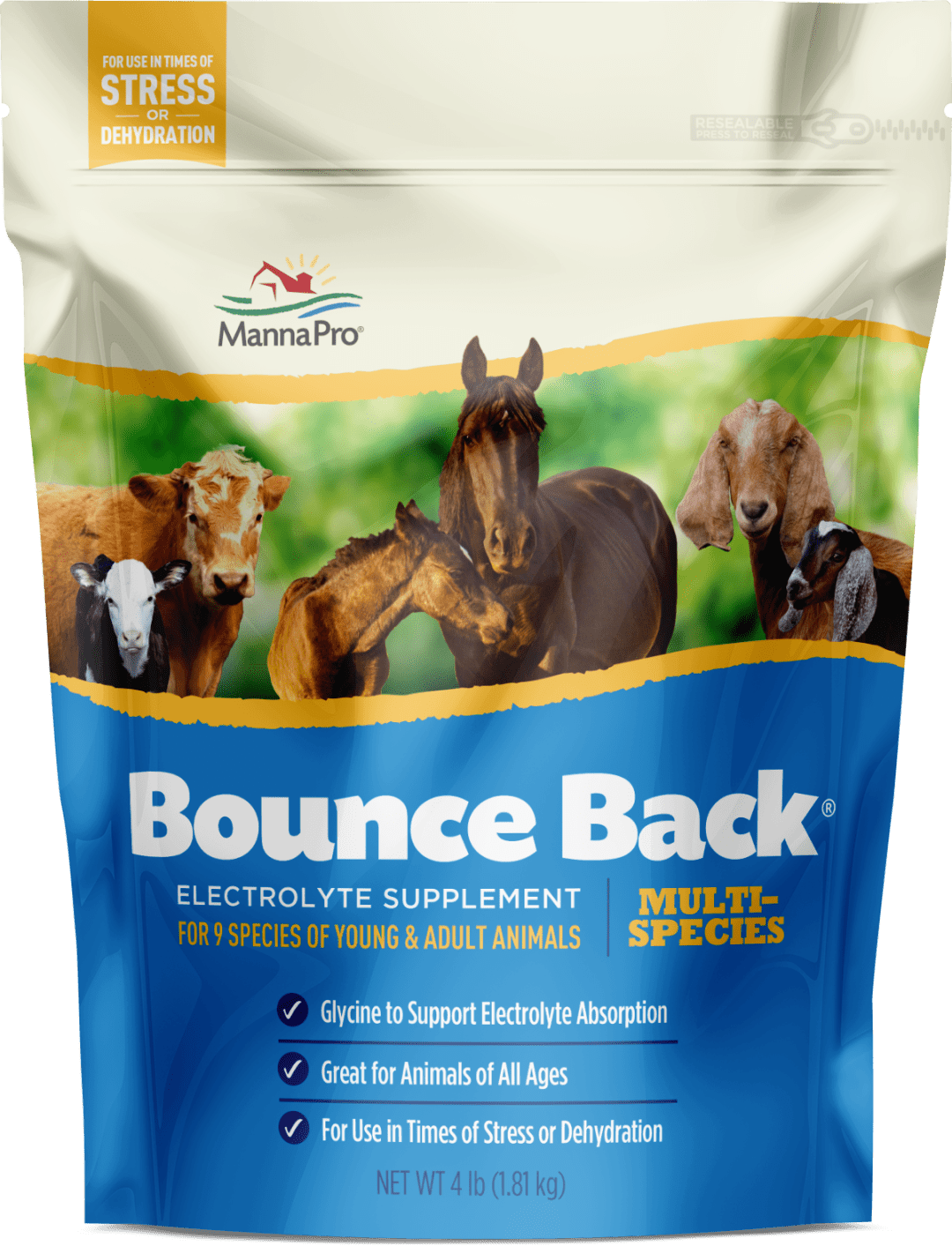 Manna Pro Bounce Back Supplement | Multi-Species Electrolyte | 4 lb