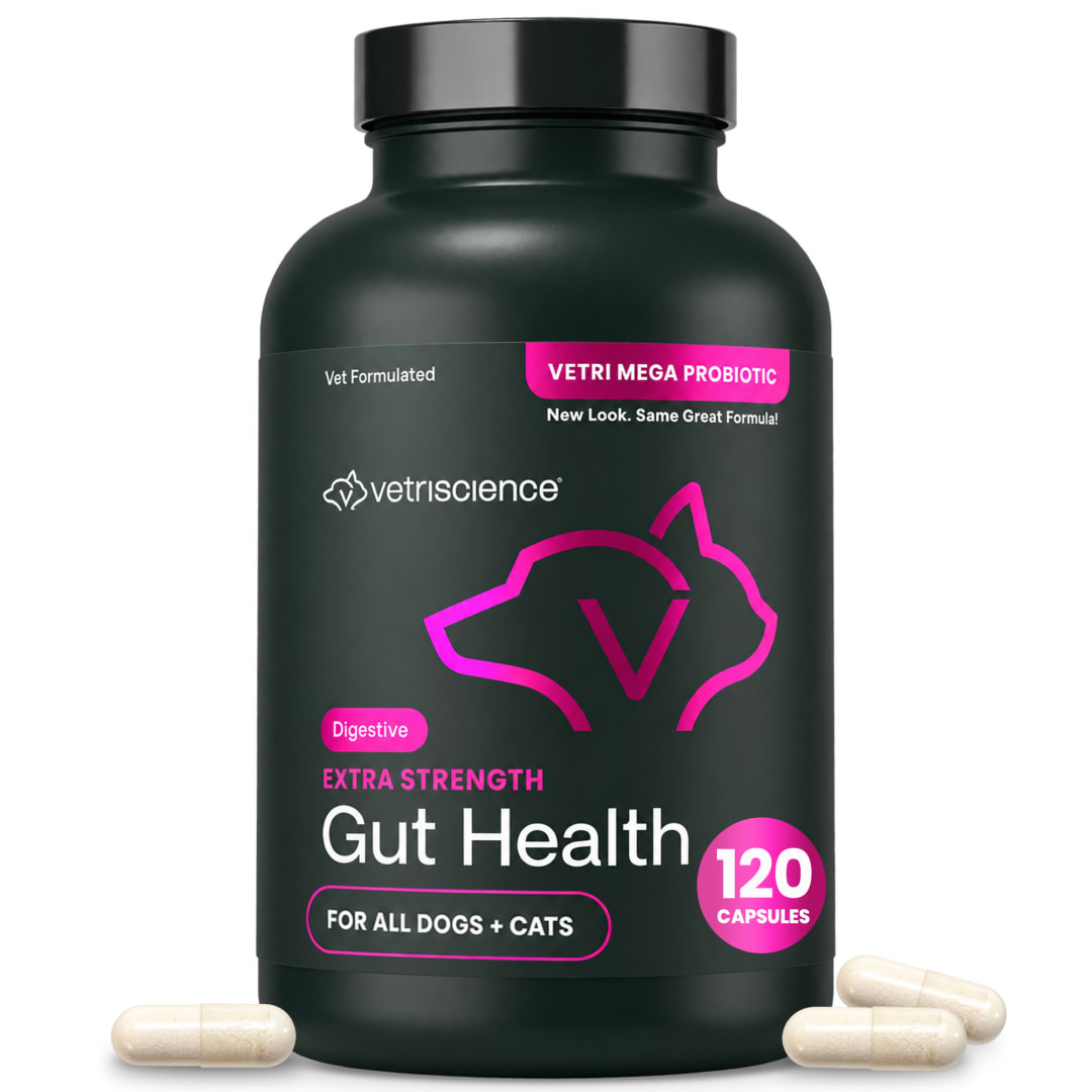 VS Extra Strength Healthy Gut & Digestion, Dogs, 120ct