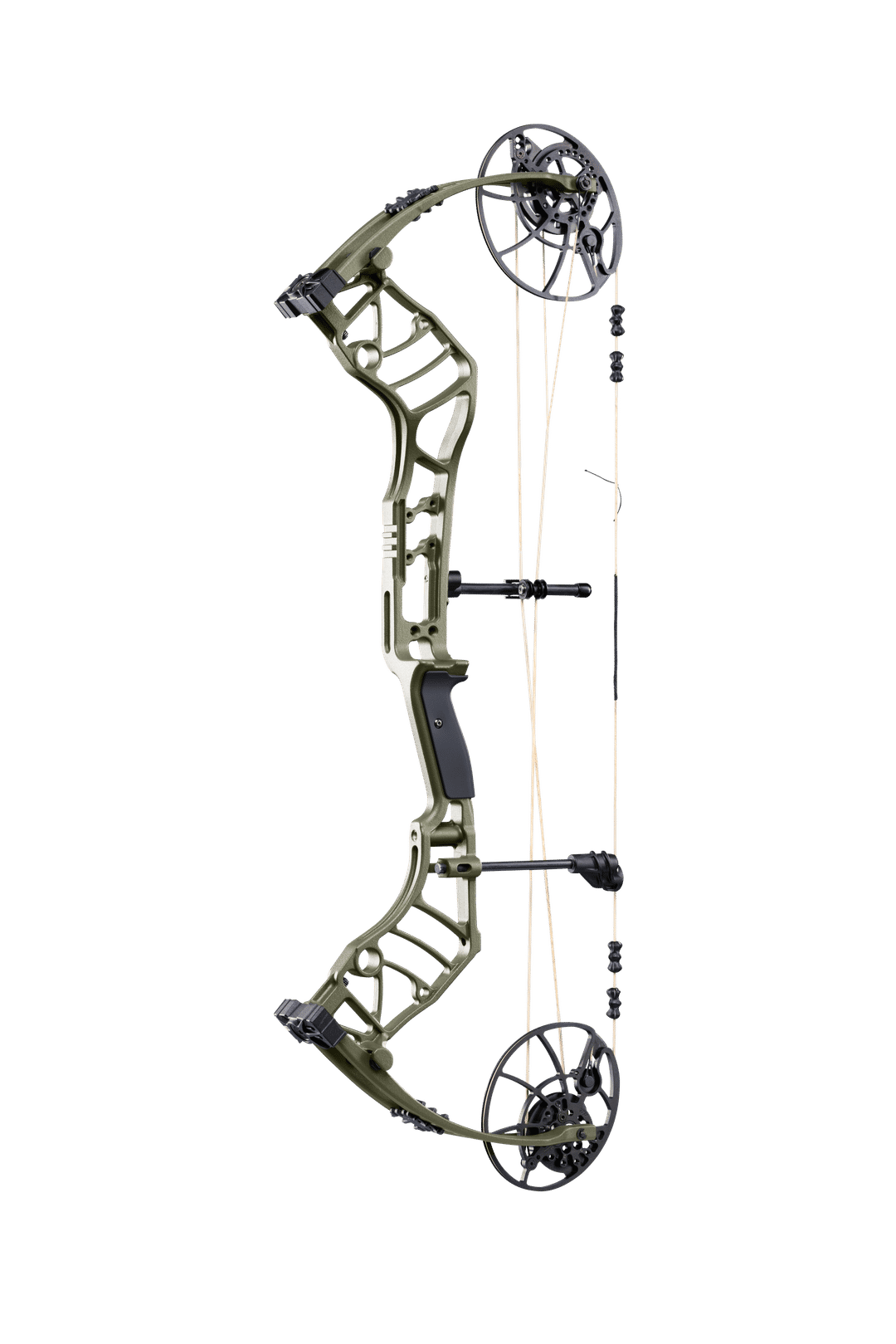 Bear Legend 30