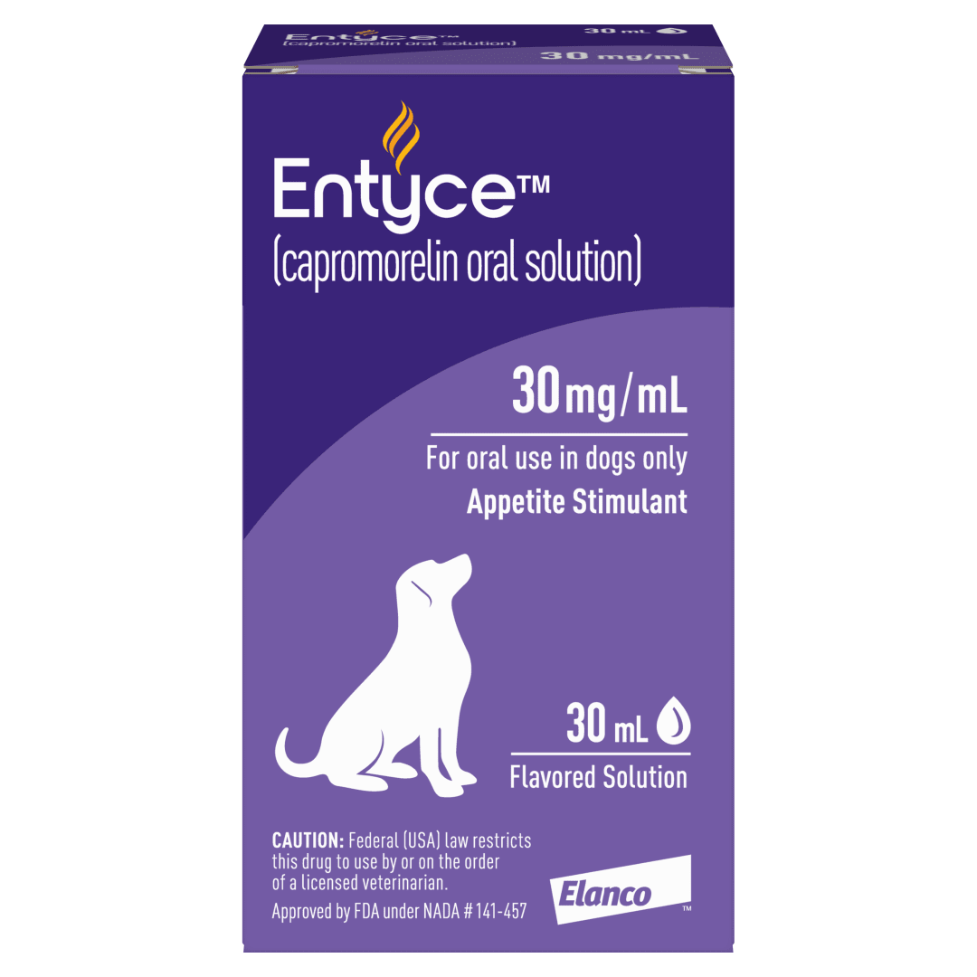 Entyce Dog Entyce Dog Appetite Stimulant | Oral Solution for Dogs | 30mg/ml - 30 ml