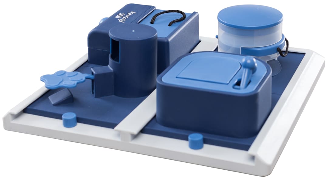 Dog Activity Poker Box 2 Strategy Game