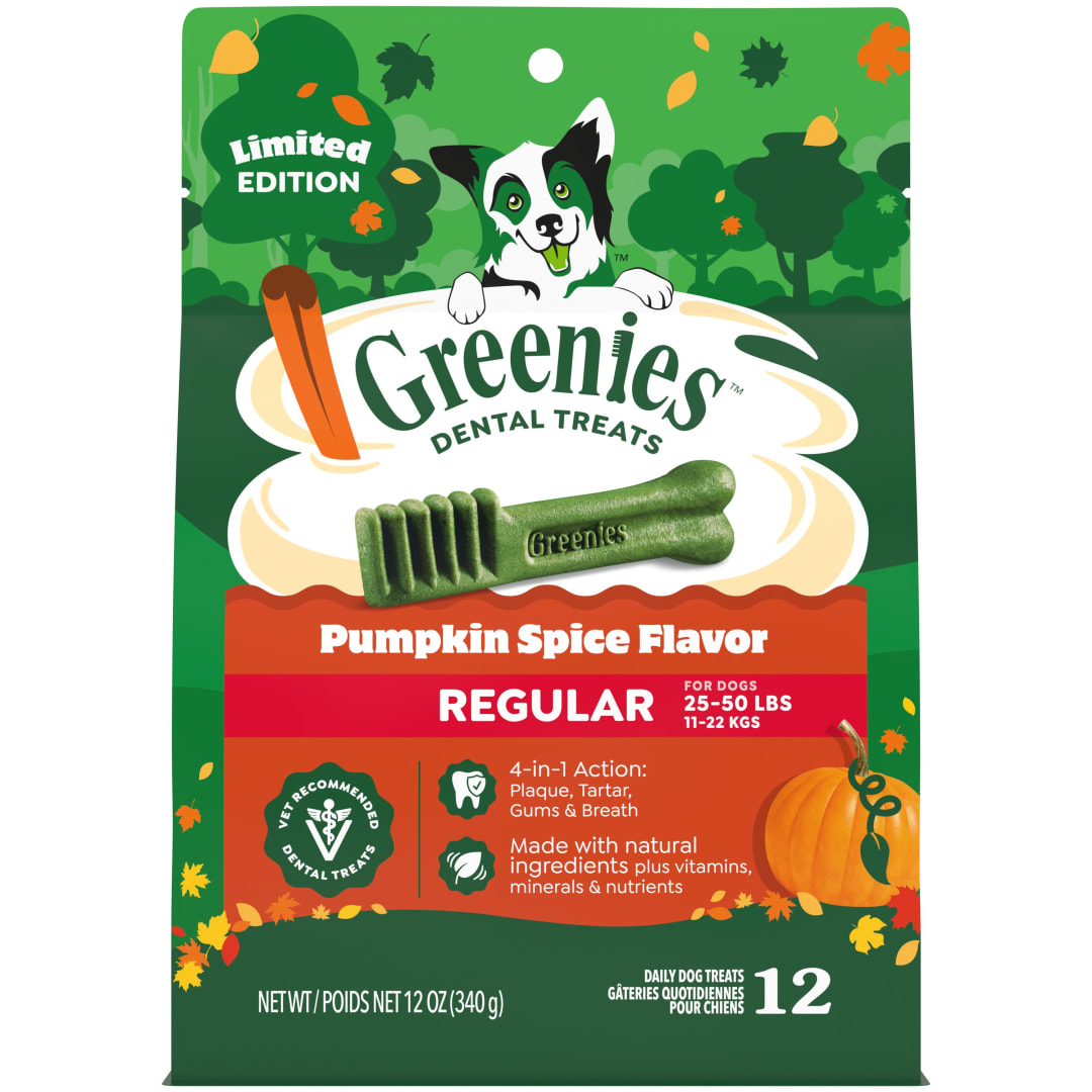 GREENIES Pumpkin Spice Flavor Regular Size Dog Dental Chews 12 Ounces 12 Treats