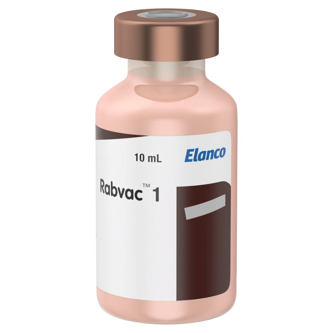 Rabvac 1 | 10 dose vial