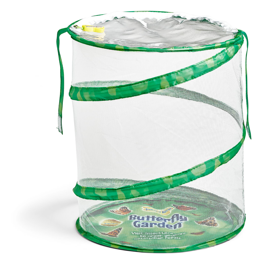 BUTTERFLY GARDEN SET (5 CATERPILLARS)