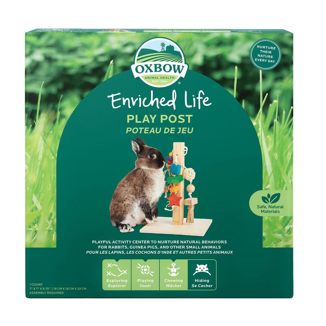 Enriched Life - Play Post