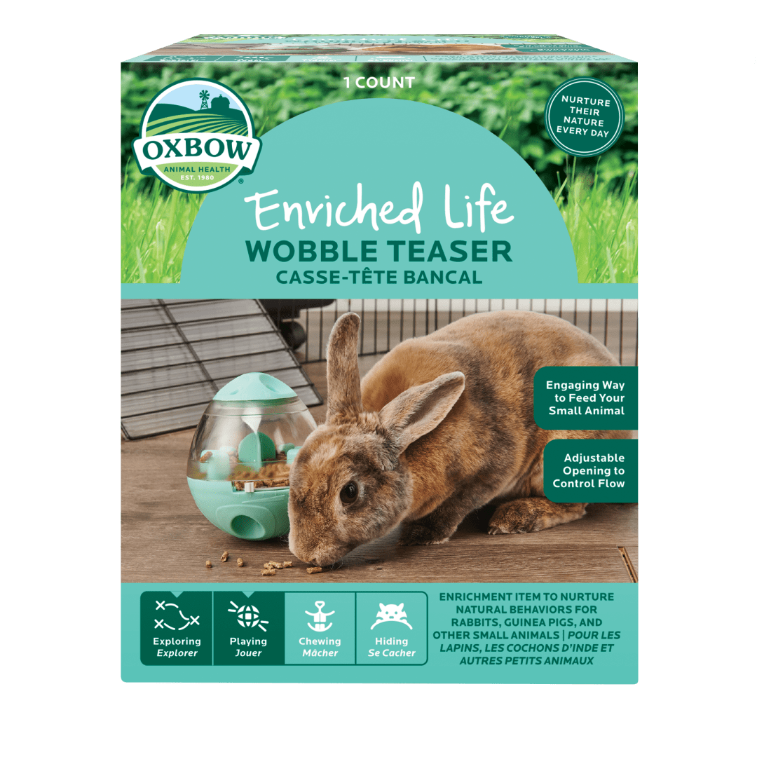 Enriched Life - Wobble Teaser