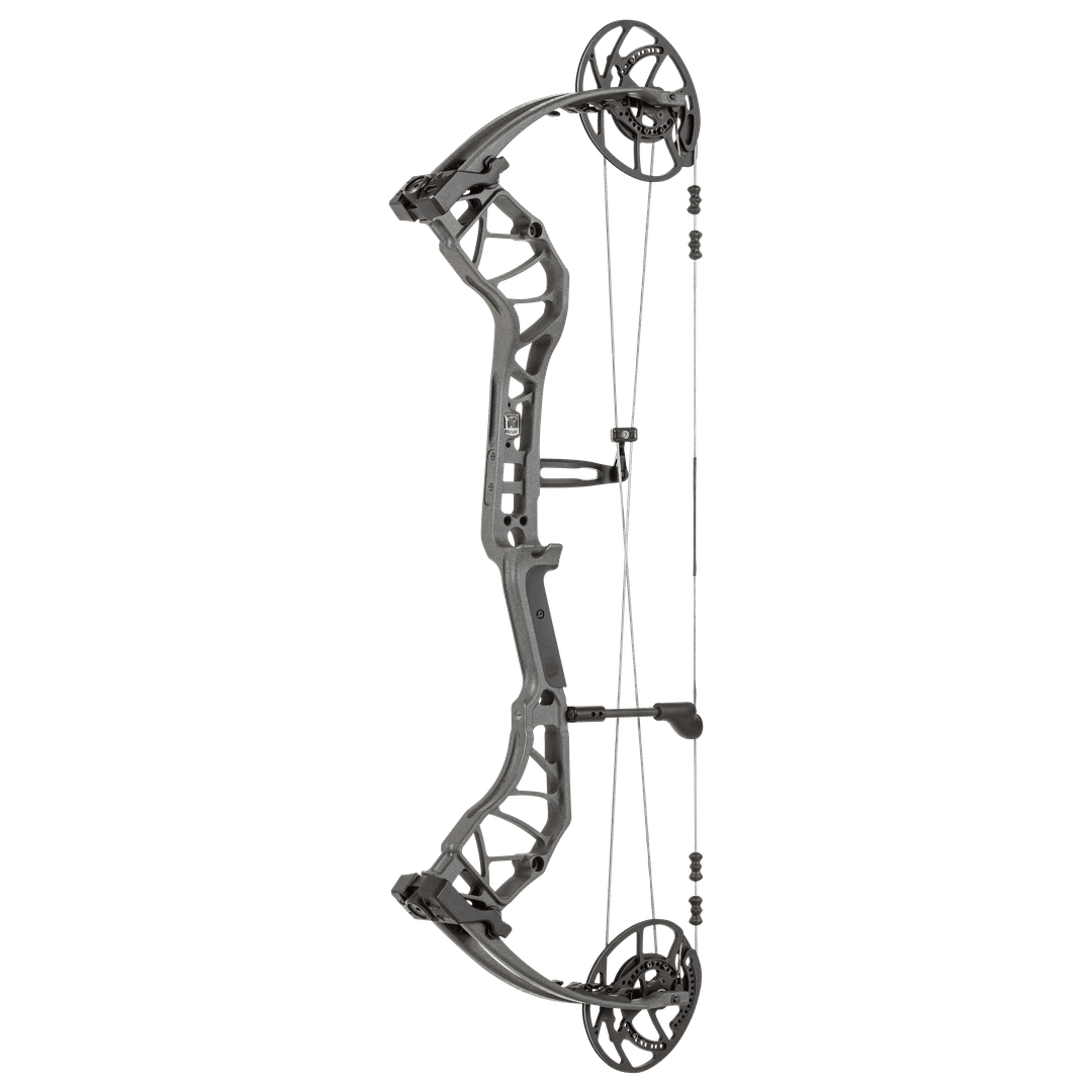 Bear Divergent EKO - Iron Fini