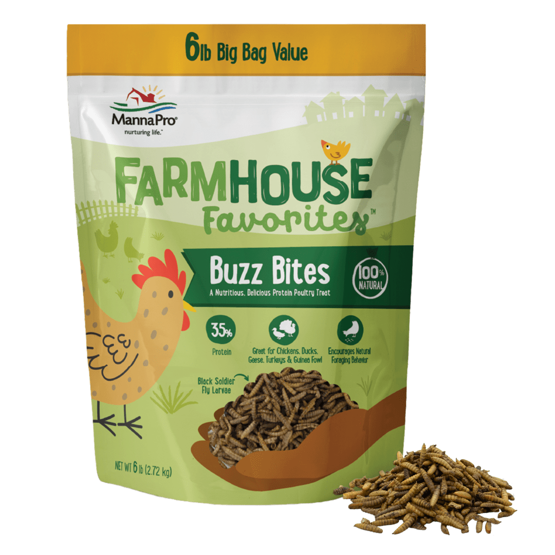 Manna Pro Farmhouse Favorites Buzz Bites Poultry Treat – 6lb