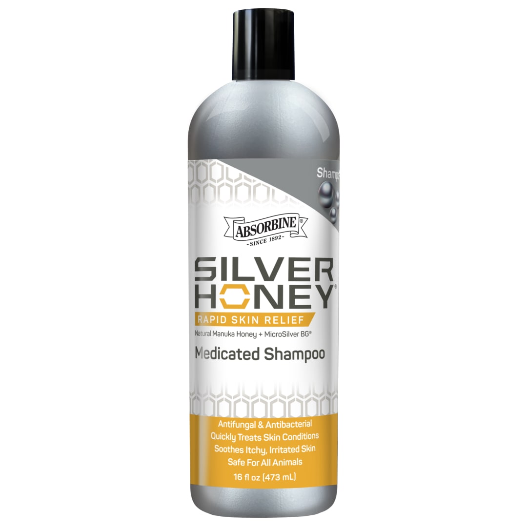 Silver Honey® Rapid Skin Relief Medicated Shampoo 16 fl oz Bottle