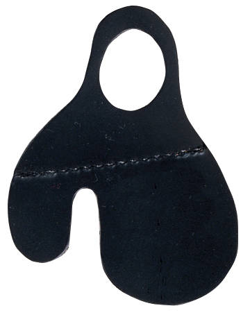 Bear Western Tab