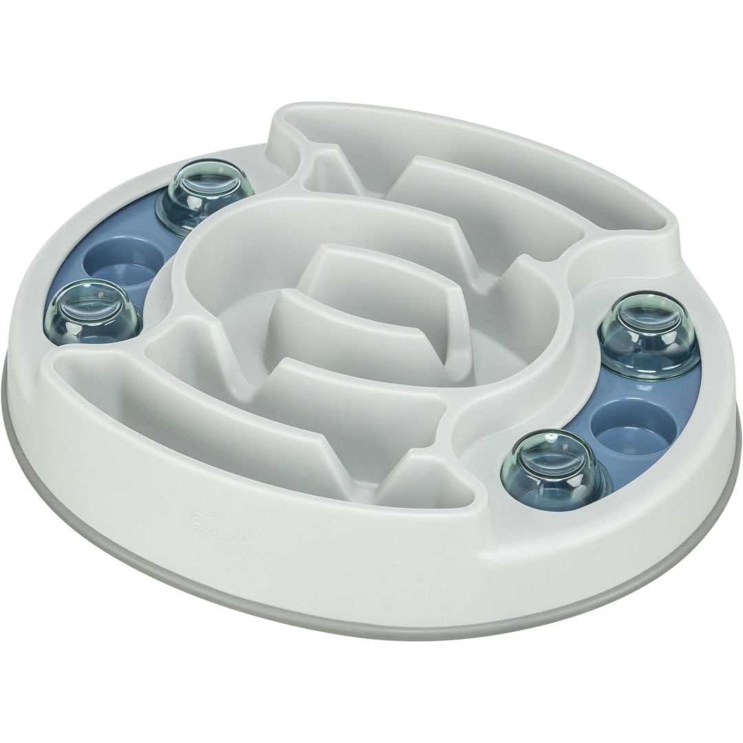 Dog Activity Slide & Feed Strategy Game