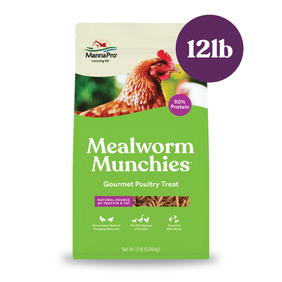 Manna Pro Mealworm Munchies, 12 lb