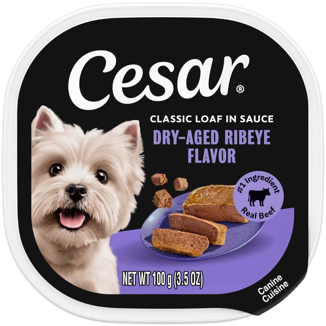 CESAR Classic Loaf in Sauce Adult Soft Wet Dog Food Dry-Aged Ribeye Flavor, (24) 3.5 oz. Trays