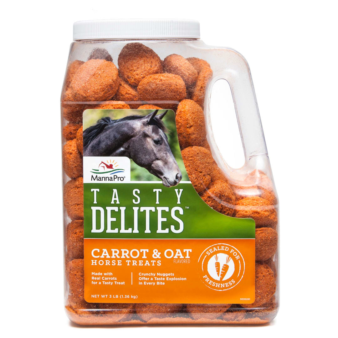 Manna Pro Tasty Delites Carrot Flavor Treats | Rich in nutrients | 3 LB
