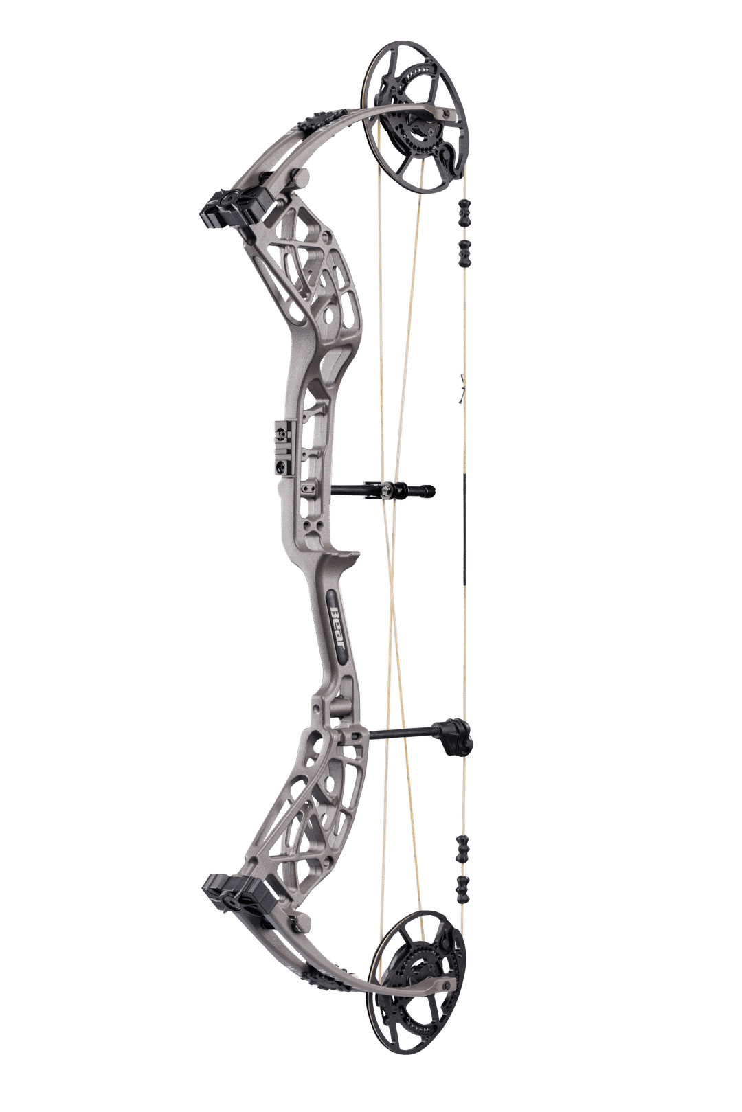 Bear Whitetail INT