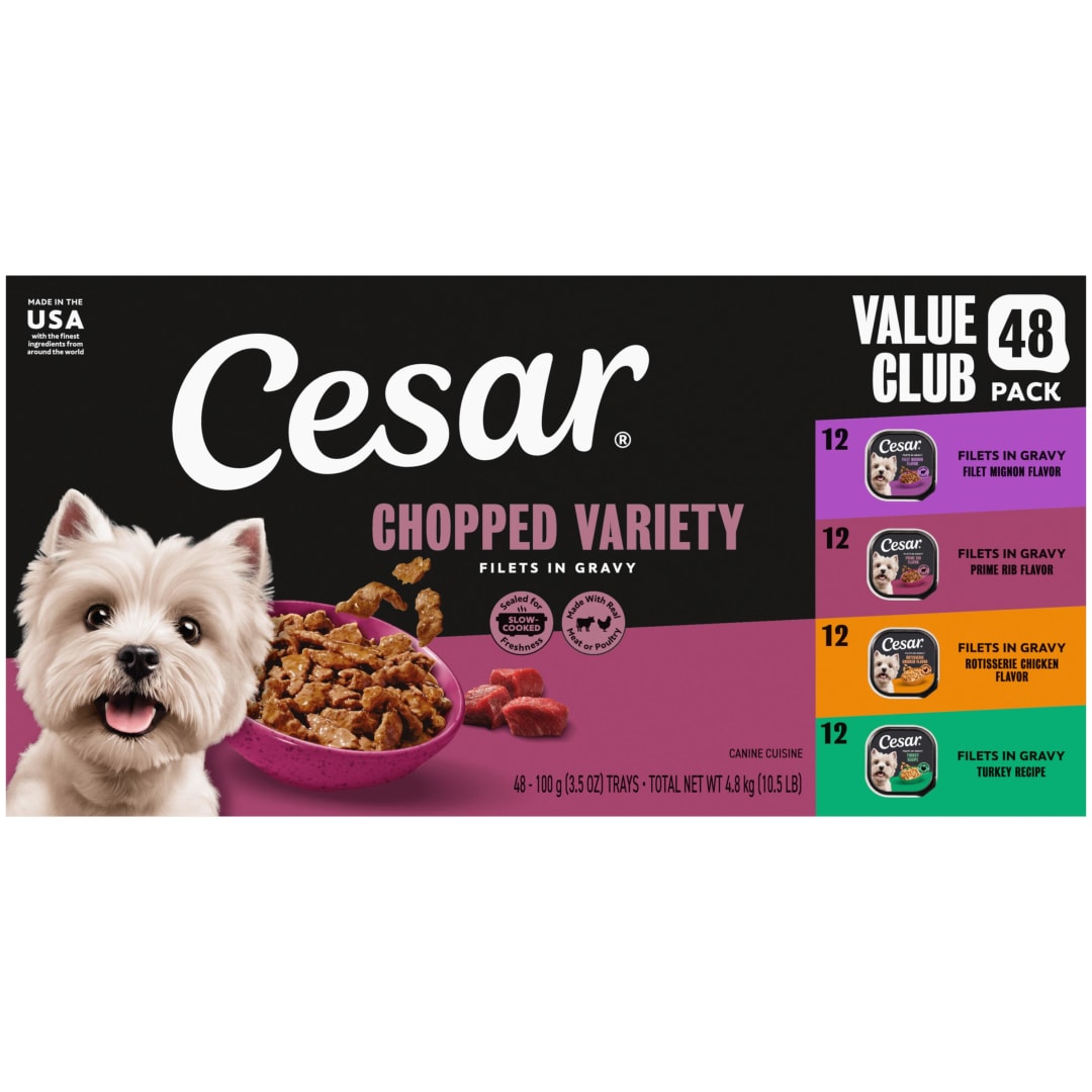 Cesar Filets in Gravy Variety Pack Adult Wet Dog Food, 3.5 oz Easy Peel Dog Food Trays, 48 Count