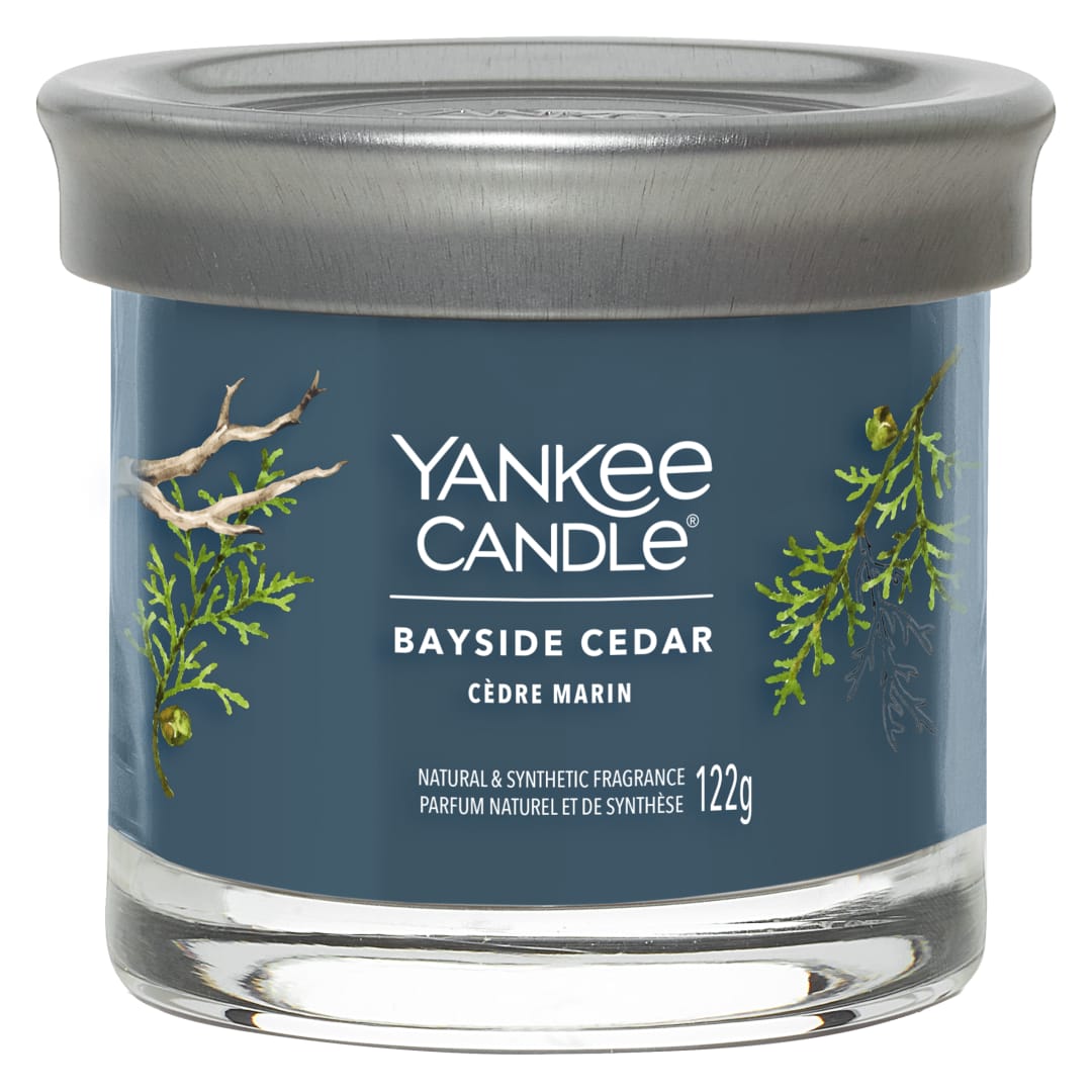 JAR-YCNT SM BAYSD CDR YCE