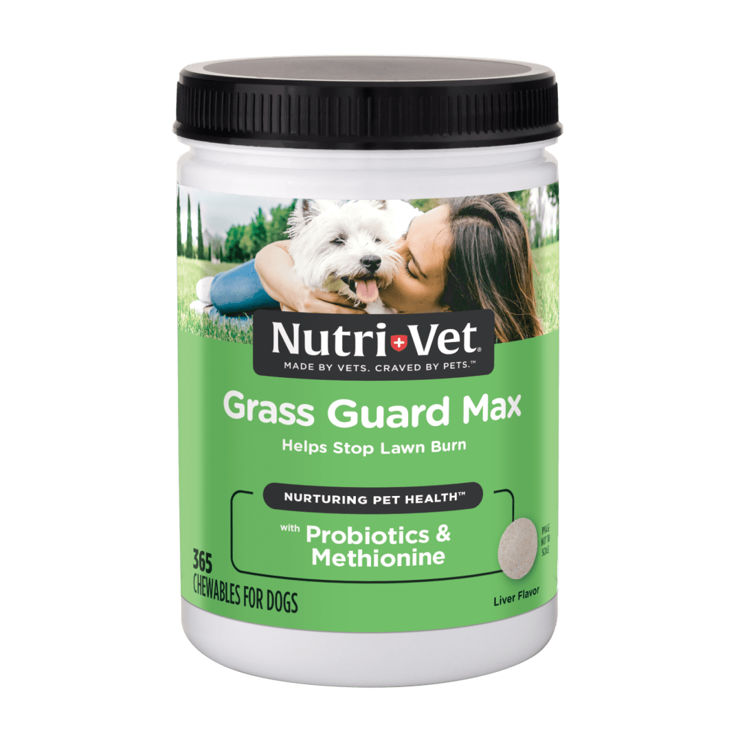Nutri-Vet Grass Guard Chewables For Dogs, 365 count