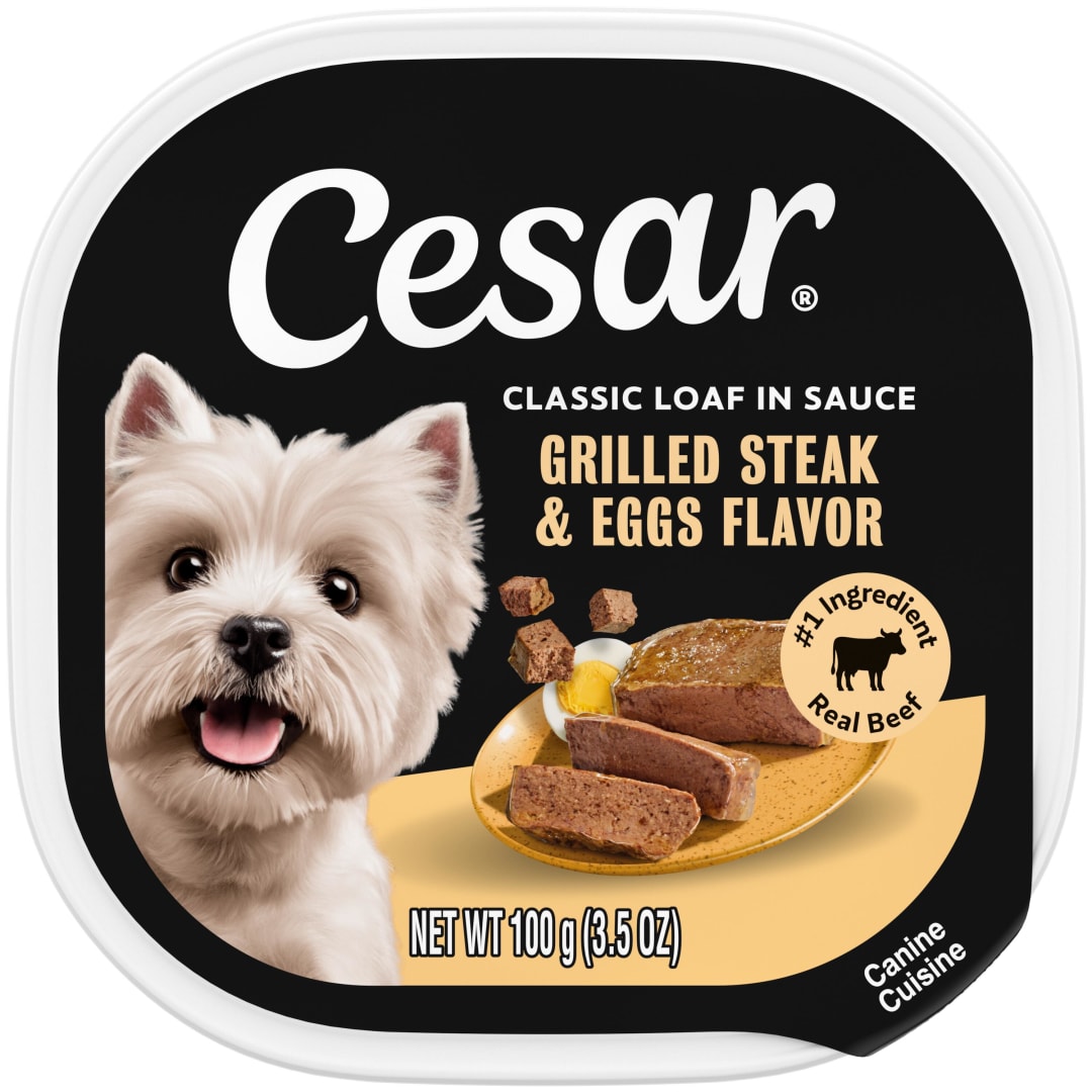 CESAR Soft Wet Dog Food Classic Loaf in Sauce Grilled Steak and Eggs Flavor, (24) 3.5 oz. Easy Peel Trays