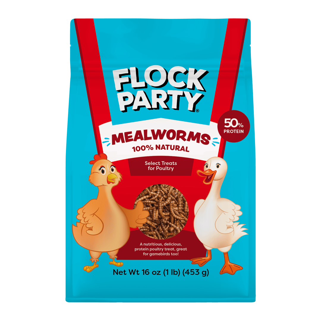 Flock Party Mealworms 1 lb