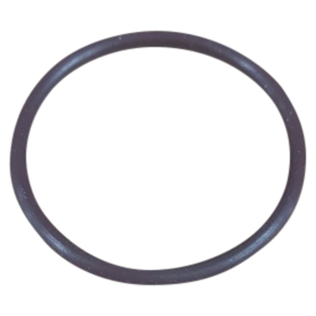 O-Ring Viton 18-568-023V