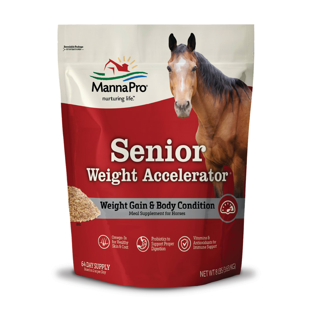 Manna Pro Weight Accelerator For Senior Horses - Made with Omega 3 Fatty Acids - Formulated with Flaxseed - Weight Gain Supplement for Horses - 8 lbs