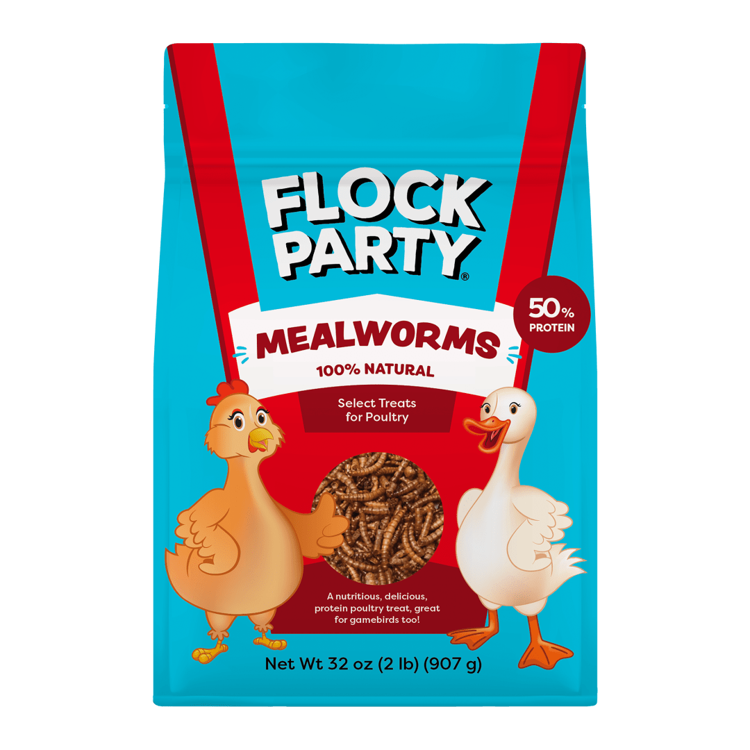 Flock Party Mealworms 2 lb