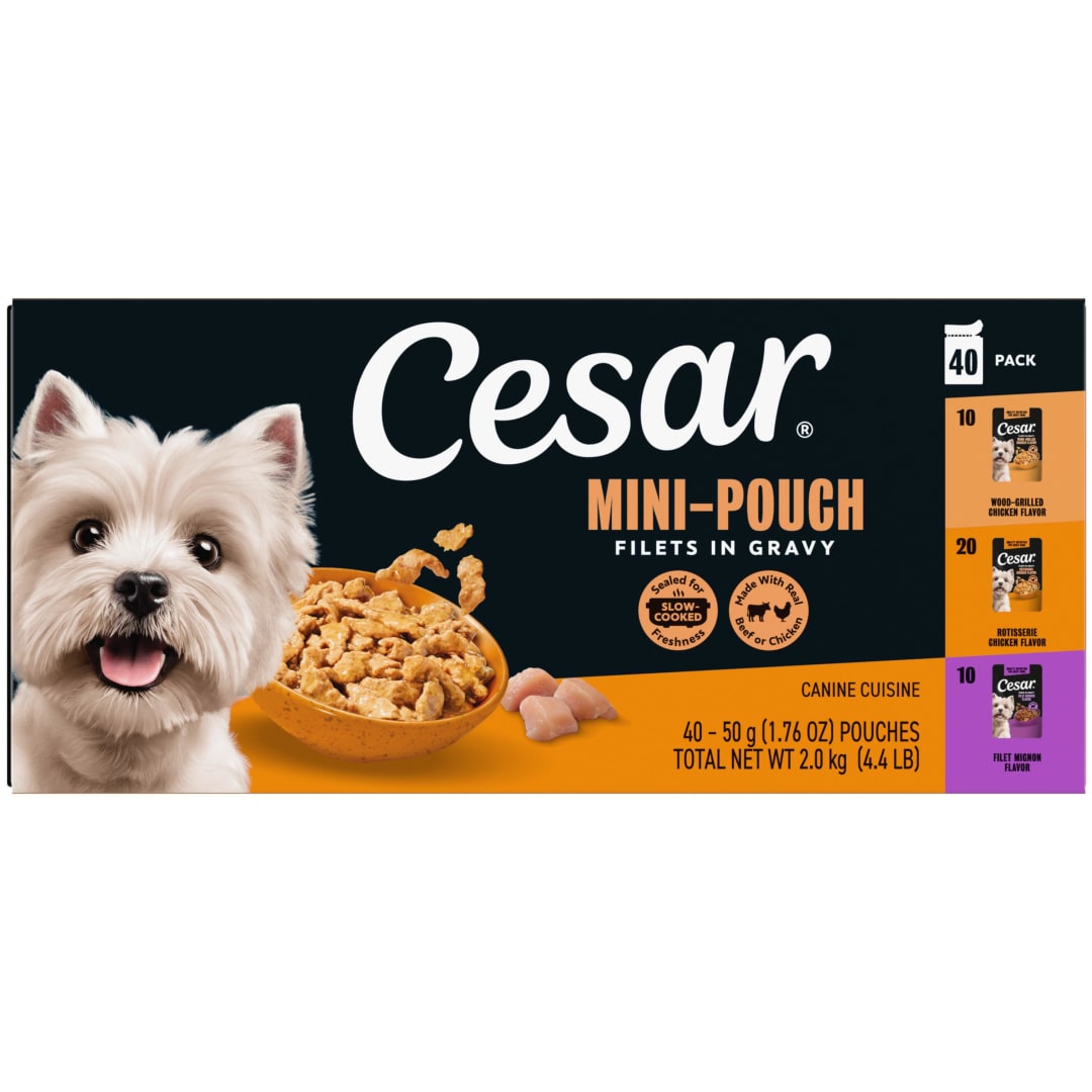 Cesar Filets in Gravy Beef and Chicken Flavors Variety Wet Dog Food, 1.76 oz Mini-Pouches, 40 Ct