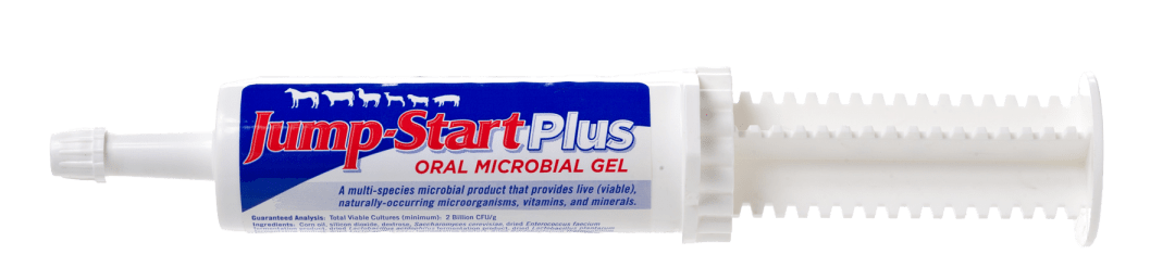 Manna Pro Jump Start Plus Oral Microbial Gel | Multi-Species | For Times of Stress, Competition, or Transport | 60 Grams