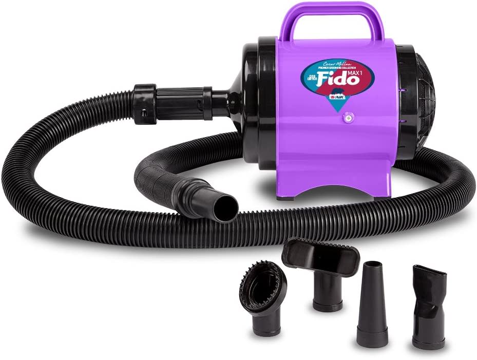 B-Air Fido Max 1 Dog Dryer - Premier Grooming Collection, Purple