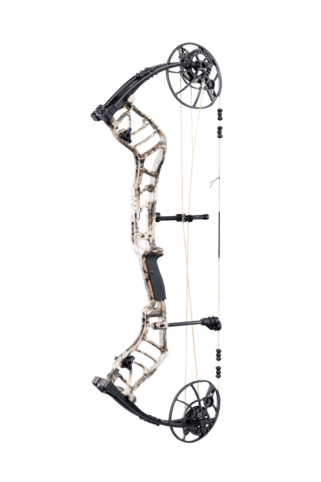 Bear Legend 30
