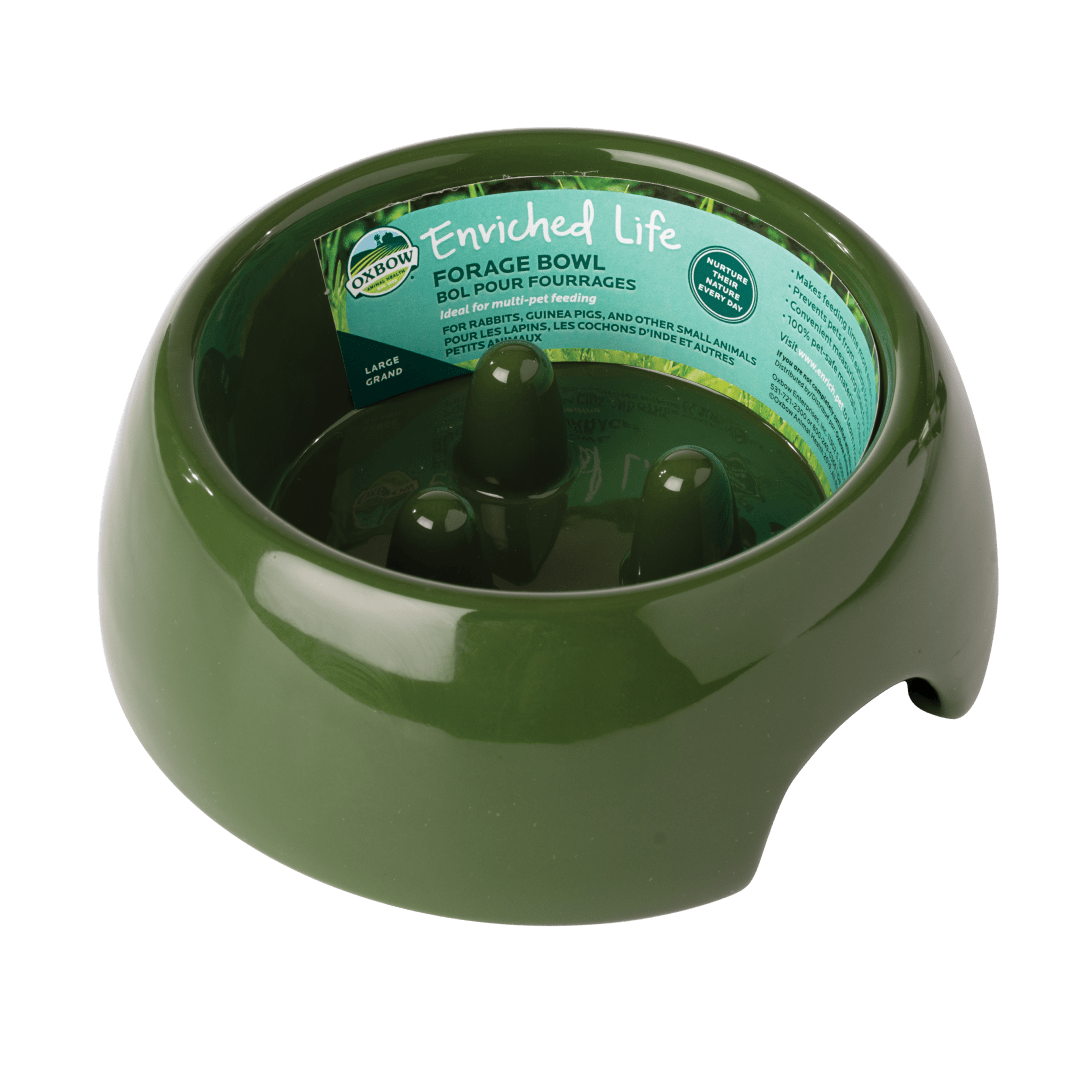 Enriched Life - Forage Bowl (Large)