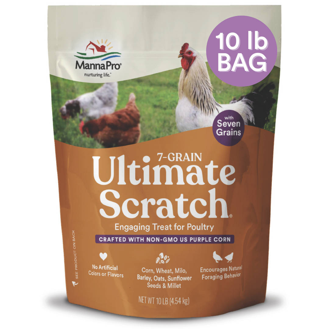Manna Pro 7-Grain Ultimate Chicken Scratch - 10 lbs