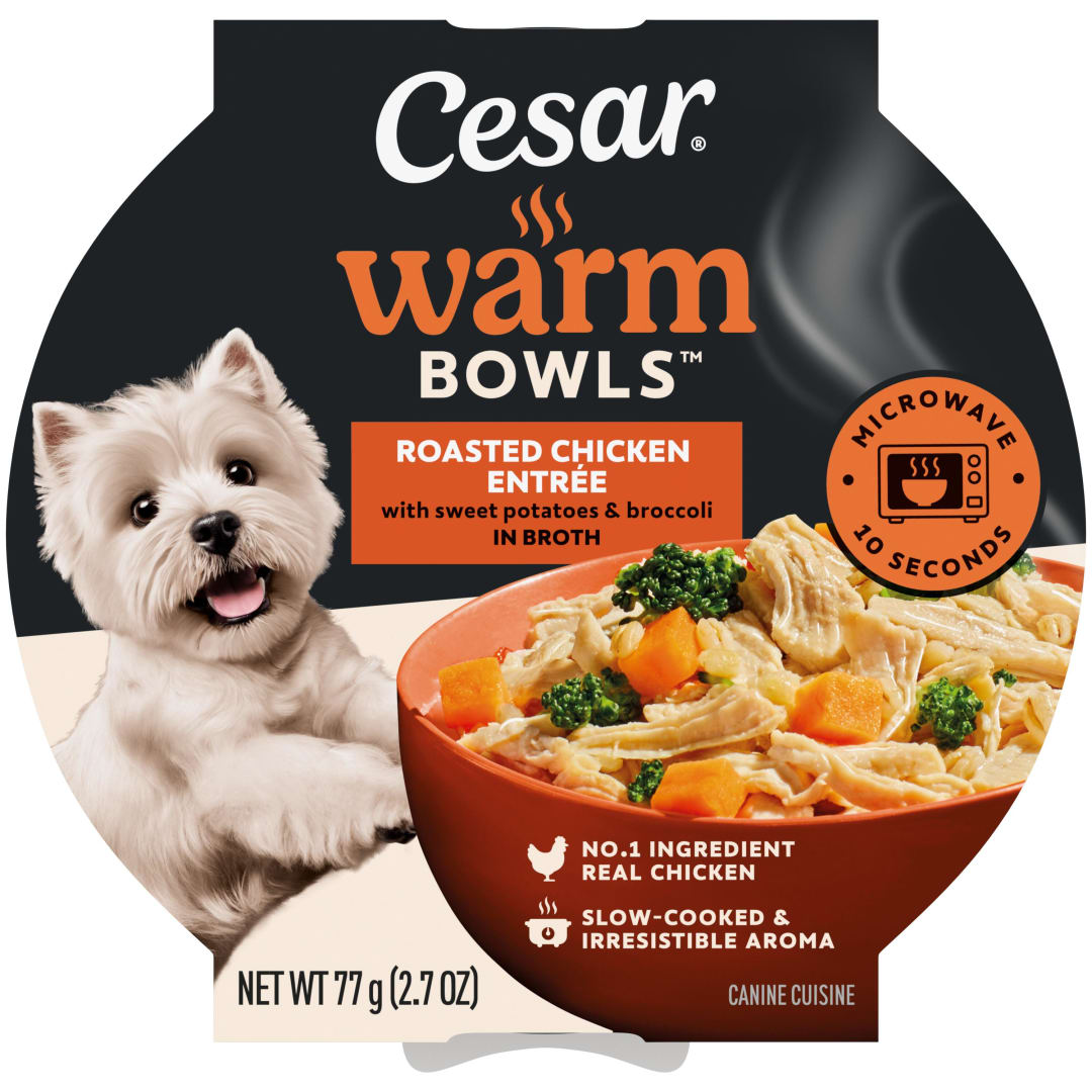 Cesar Warm Bowls Wet Dog Food Roasted Chicken Entrée, 2.7 oz. Trays, 10-Pack