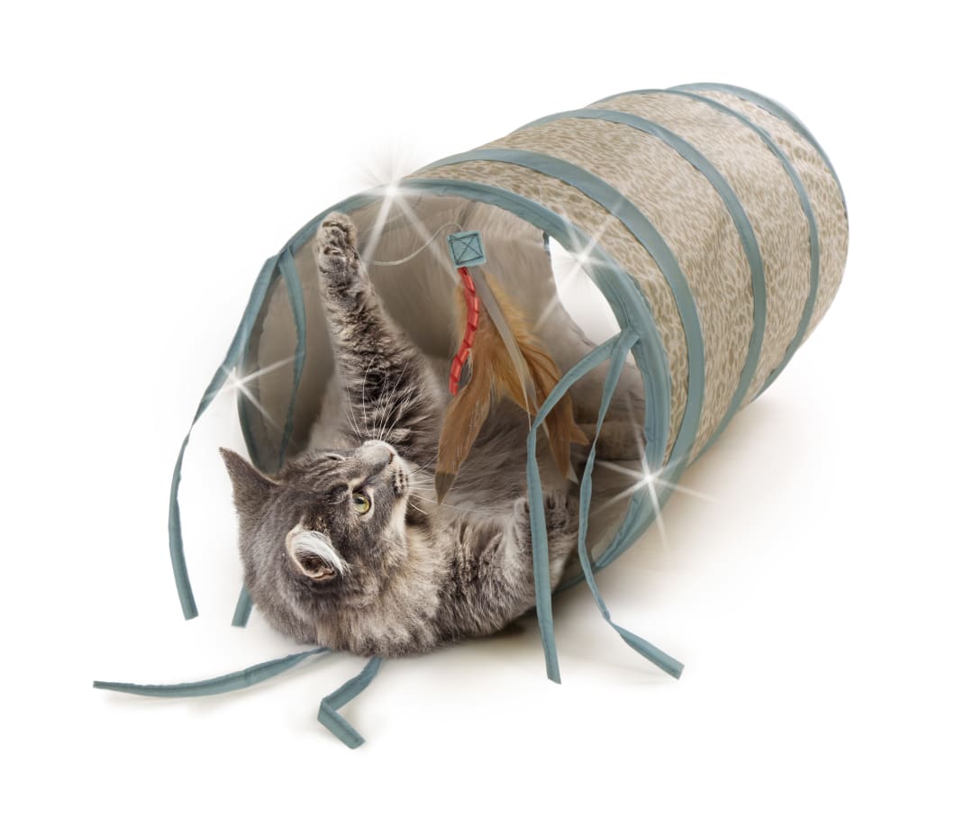 Instincts by Petlinks Twinkle Tube Electronic Light Crinkle Tunnel Cat Toy, Battery Powered