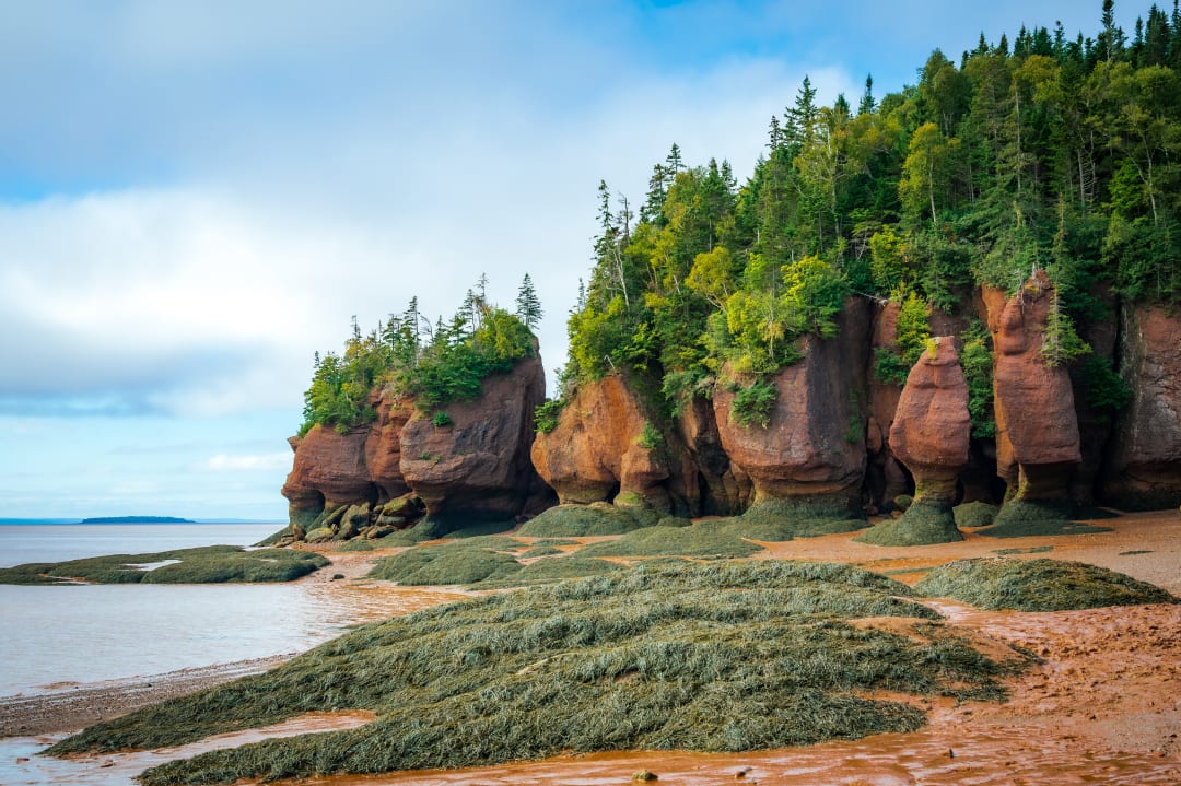Saint John (Bay of Fundy)