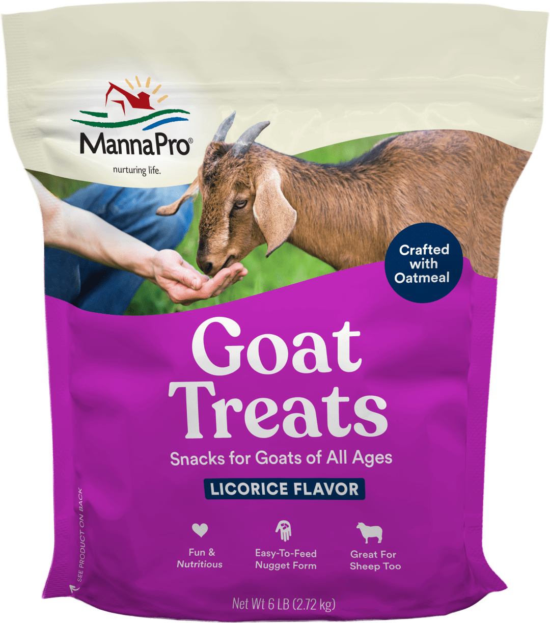 Manna Pro Goat Treats Licorice Flavor | Formulated with Oatmeal | Different Types of Goats | 6 Pounds