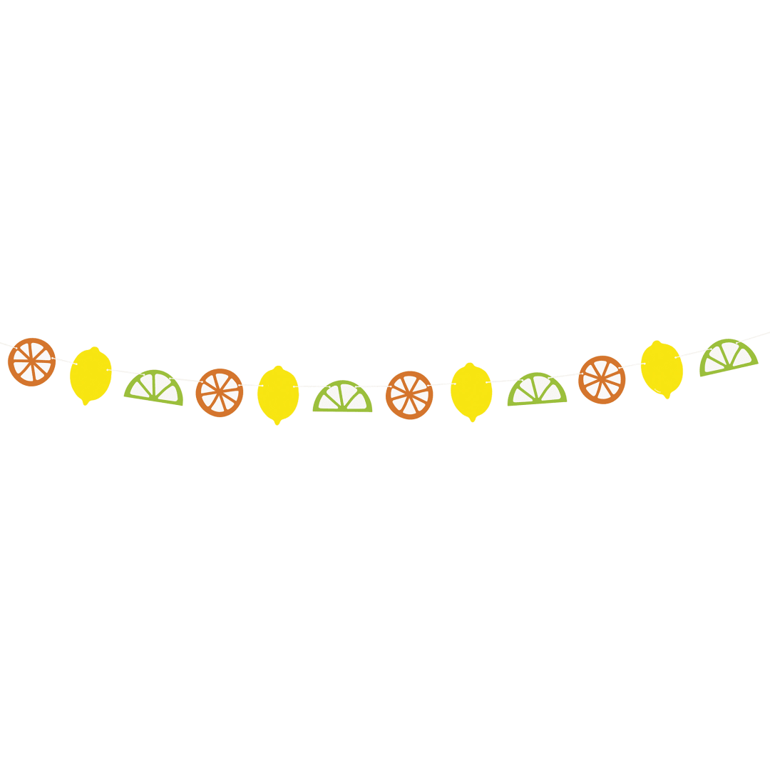 Citrus Fruit Paper Garland, 6 ft
