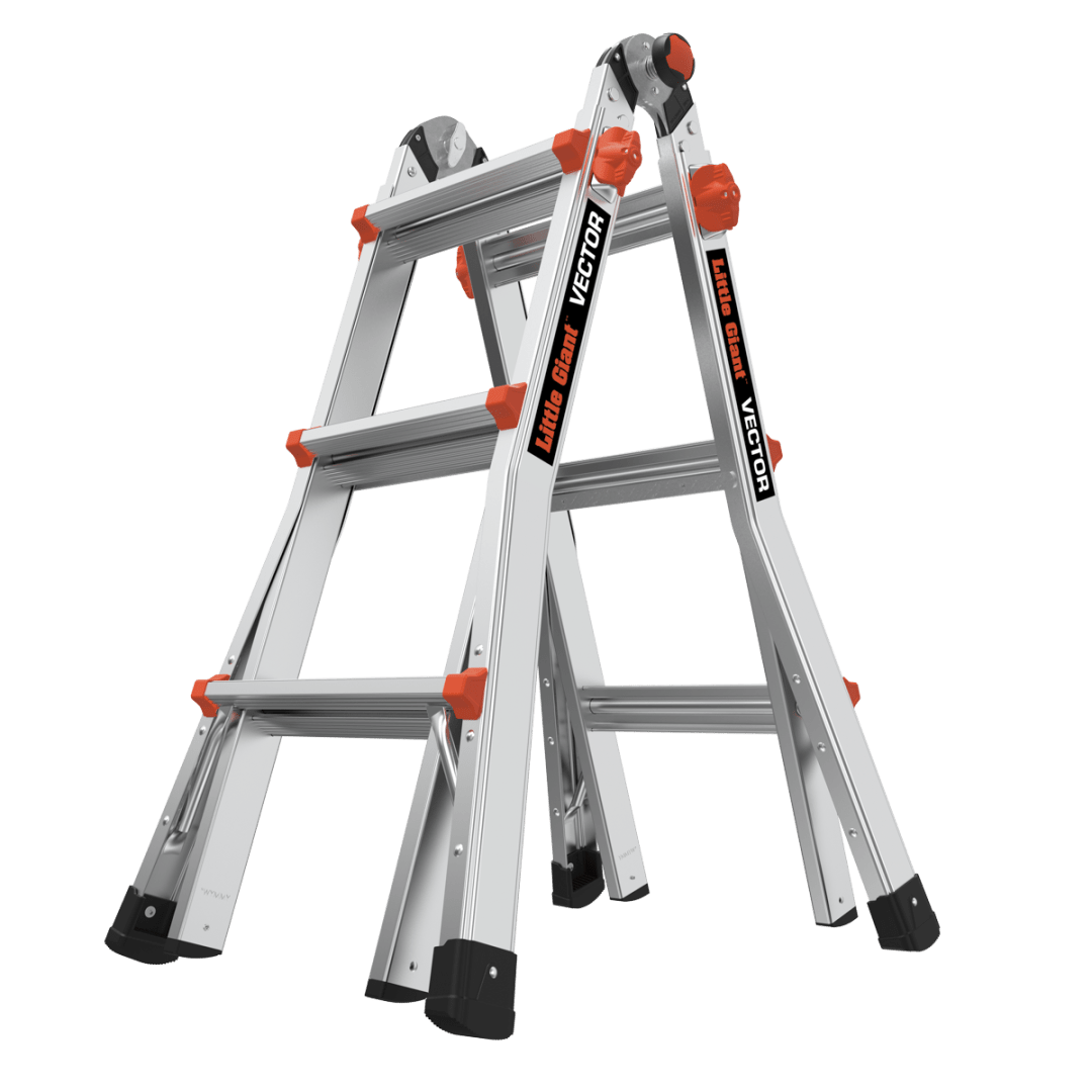 Vector