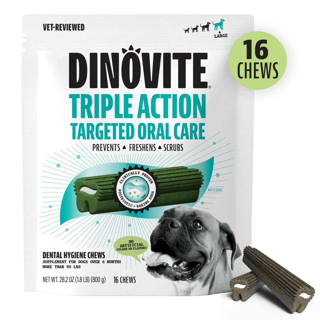 DV K9 DENTAL CHEW LARGE EC 6/16 CT