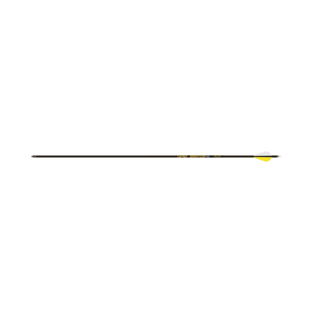 Gold Tip Hunter Pro Arrows .24