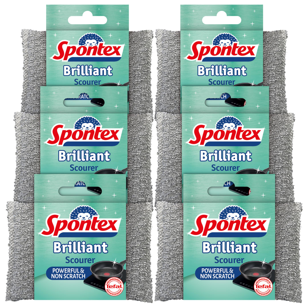 Spontex 6 x Brilliant Scourers