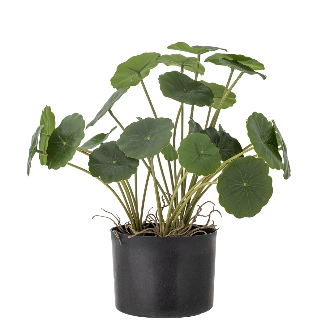 82061504 - Copper Plant, Green, Artificial Flowers STOCK: 270