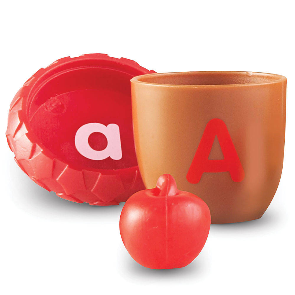 ALPHABET ACORNS